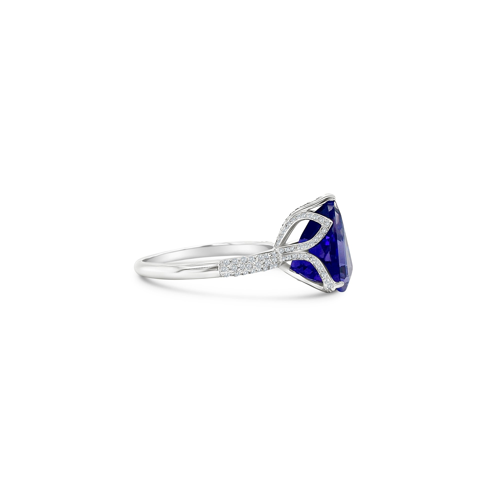 "Trillion Tanzanite & Diamond Ring, Tanzanite and Diamond Ring, Trillion Cut Tanzanite Ring, Diamond and Tanzanite Jewelry, Tanzanite Engagement Ring, Trillion Gemstone Ring, Luxury Tanzanite Ring, Diamond Accented Tanzanite Ring, Fine Tanzanite Jewelry, Elegant Tanzanite Diamond Ring, Trillion Tanzanite Gemstone, Exquisite Tanzanite Ring with Diamonds"